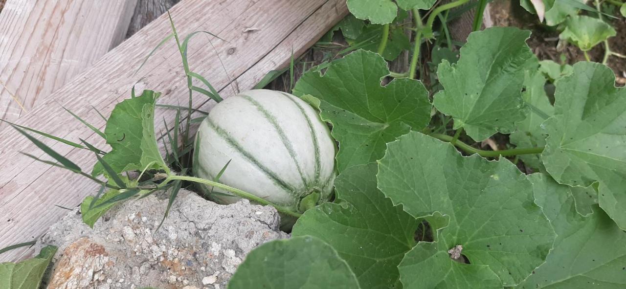 B&B L' Antica Macina Quiliano Kültér fotó