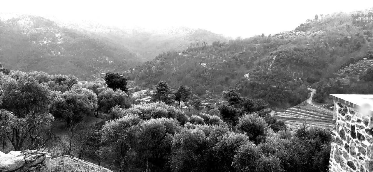 B&B L' Antica Macina Quiliano Kültér fotó