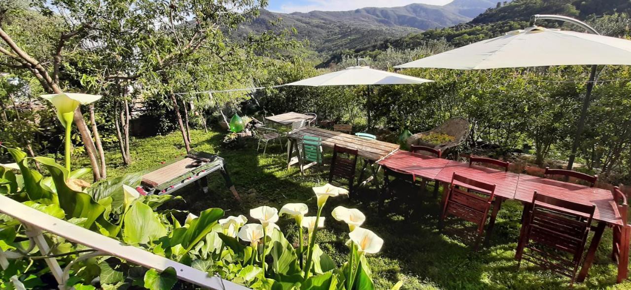 B&B L' Antica Macina Quiliano Kültér fotó