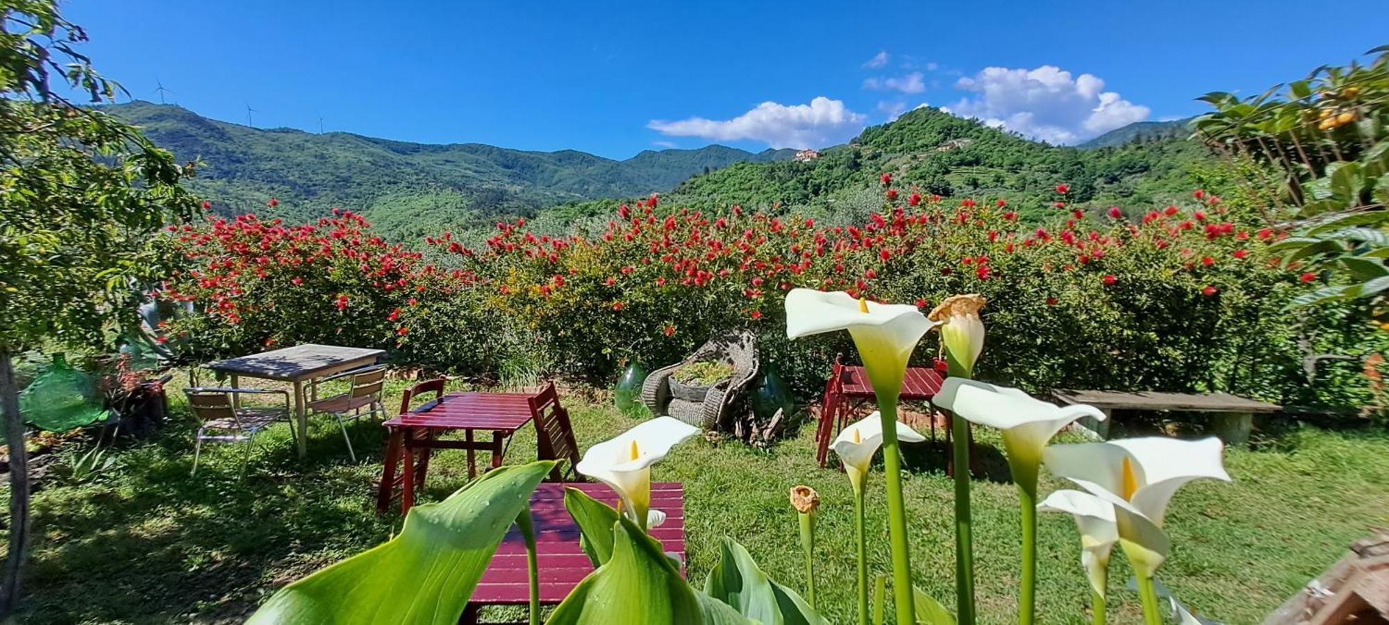 B&B L' Antica Macina Quiliano Kültér fotó