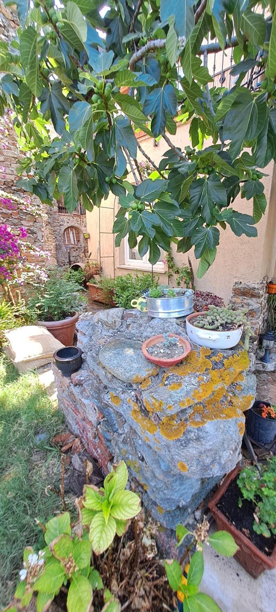 B&B L' Antica Macina Quiliano Kültér fotó