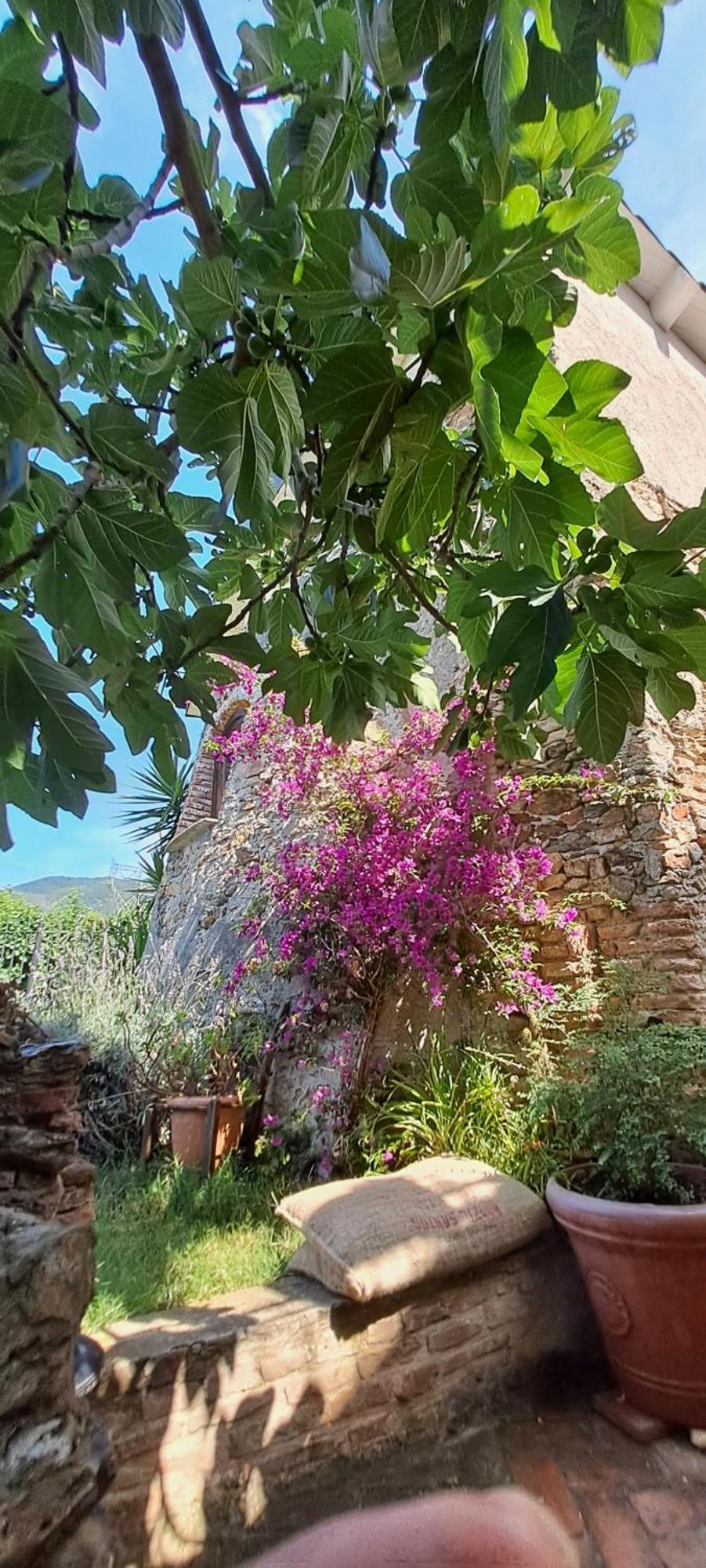 B&B L' Antica Macina Quiliano Kültér fotó