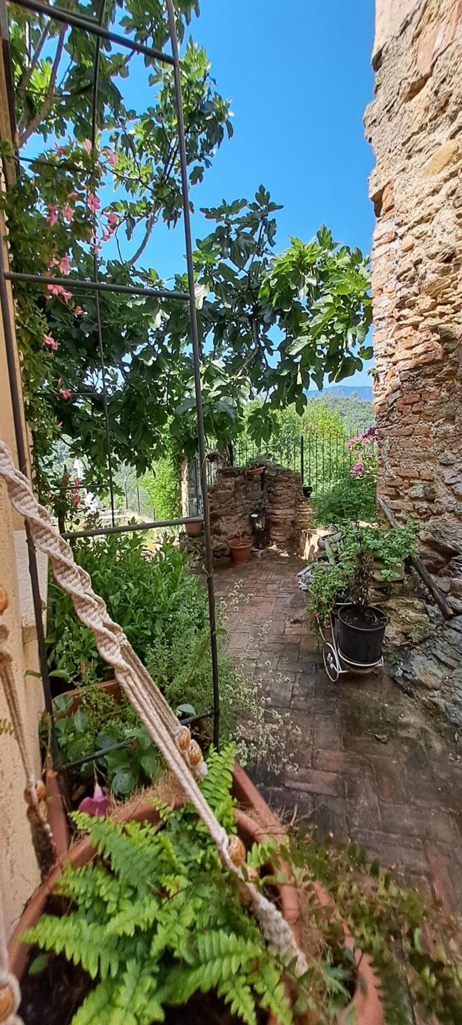 B&B L' Antica Macina Quiliano Kültér fotó